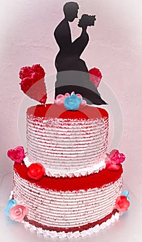 Red velvet cakeÂ is traditionally a red, red-brown, crimson or scarlet-coloredÂ chocolateÂ layer cake, layered with ermine icing